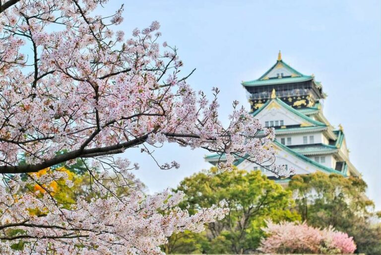 【完全ガイド】4月入学の留学生必見！日本での新生活準備パーフェクトチェックリスト
